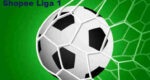 Jadwal Liga 1 2020 Live Indosiar